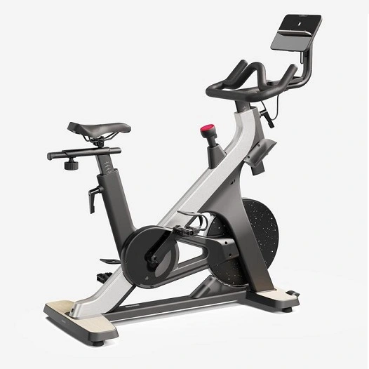 Domyos Bicicleta Estática Indoor Biking 900